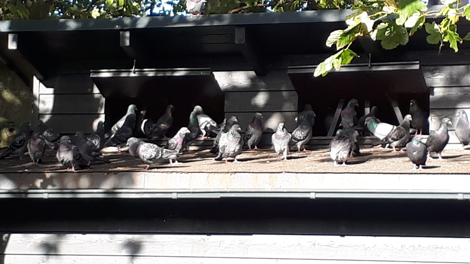 IMG-20250415-WA0064
