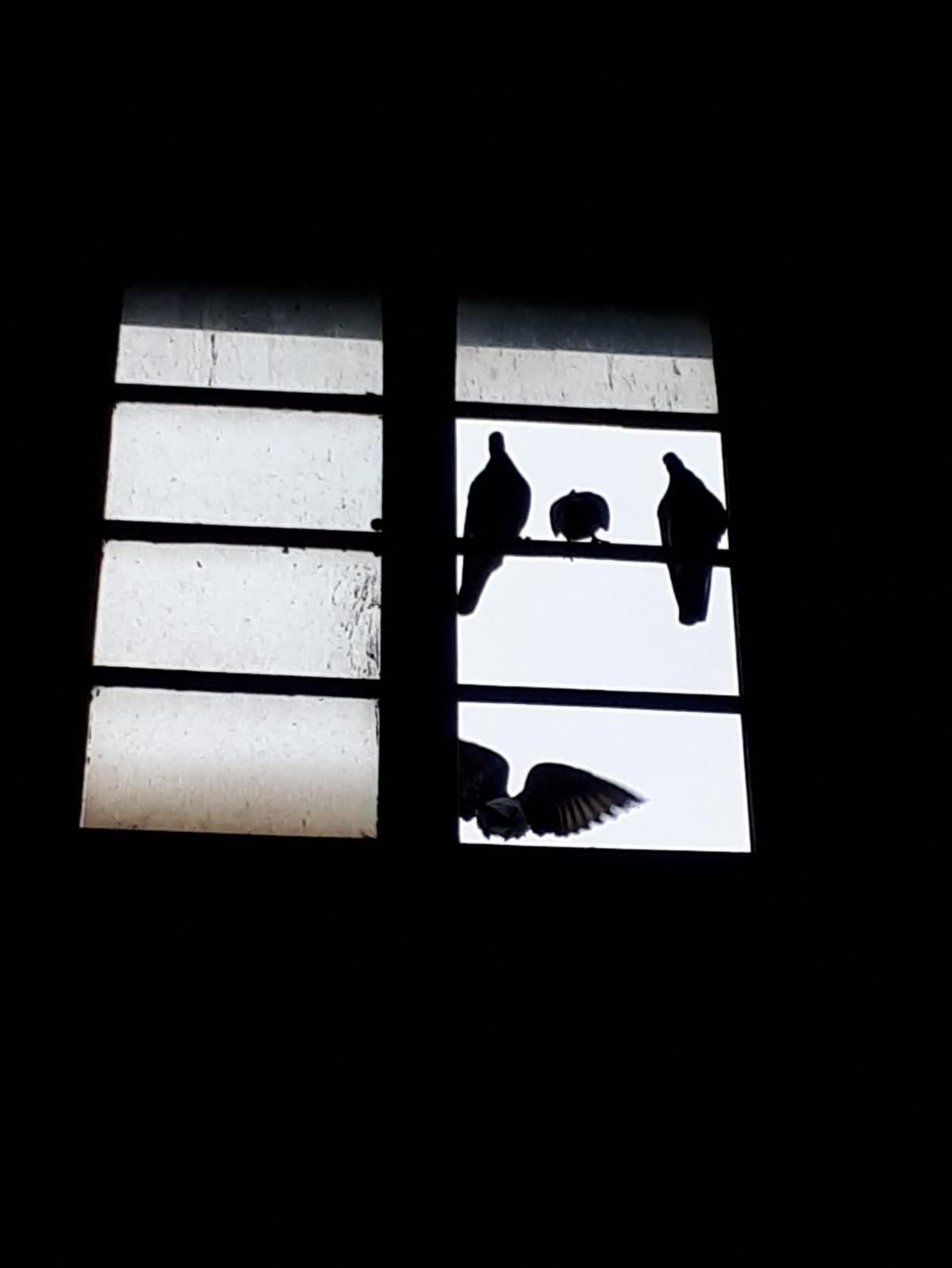 IMG-20250415-WA0081